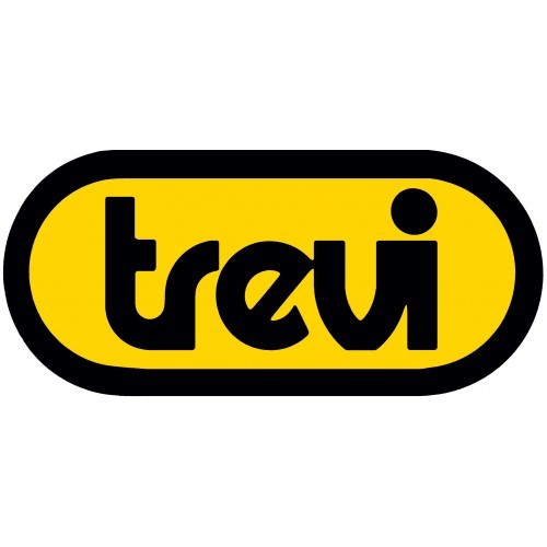 TREVI